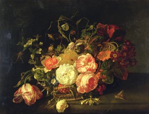 Blommor och insekter, 1711